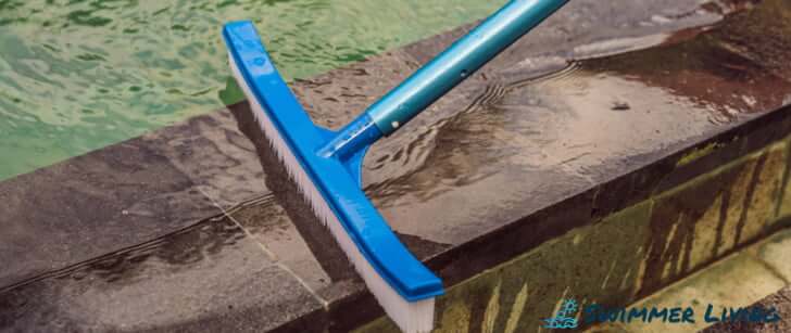 how to get rid of backswimmer bugs in pool