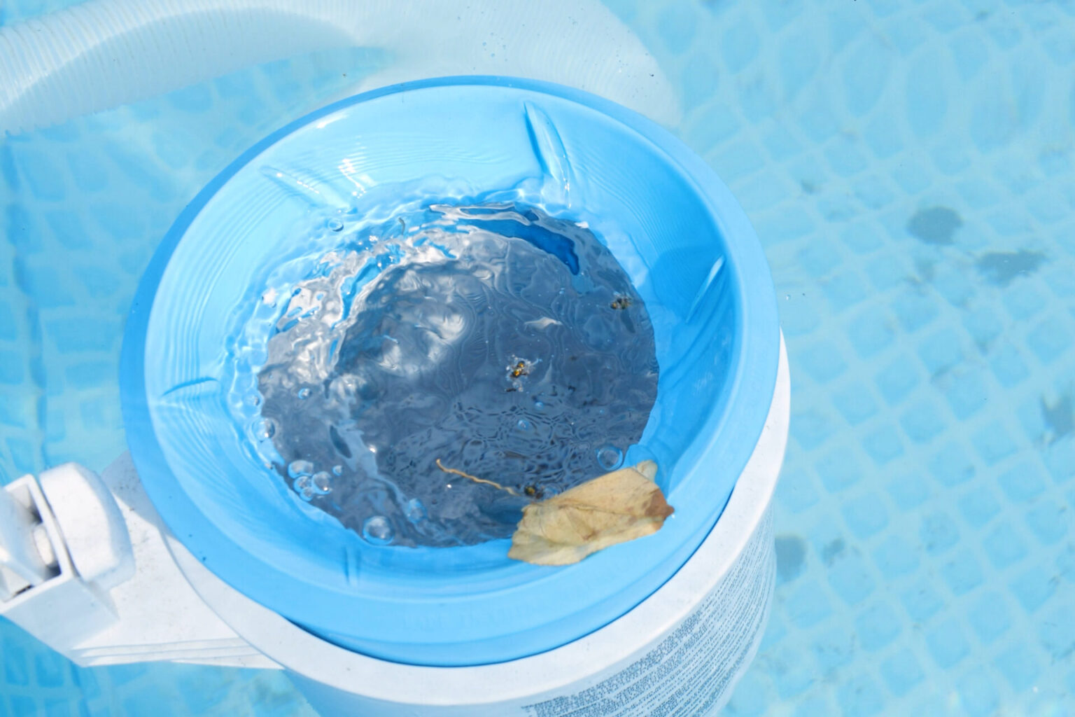 5 Reasons Your Above Ground Pool Needs a Skimmer Swimmer Living