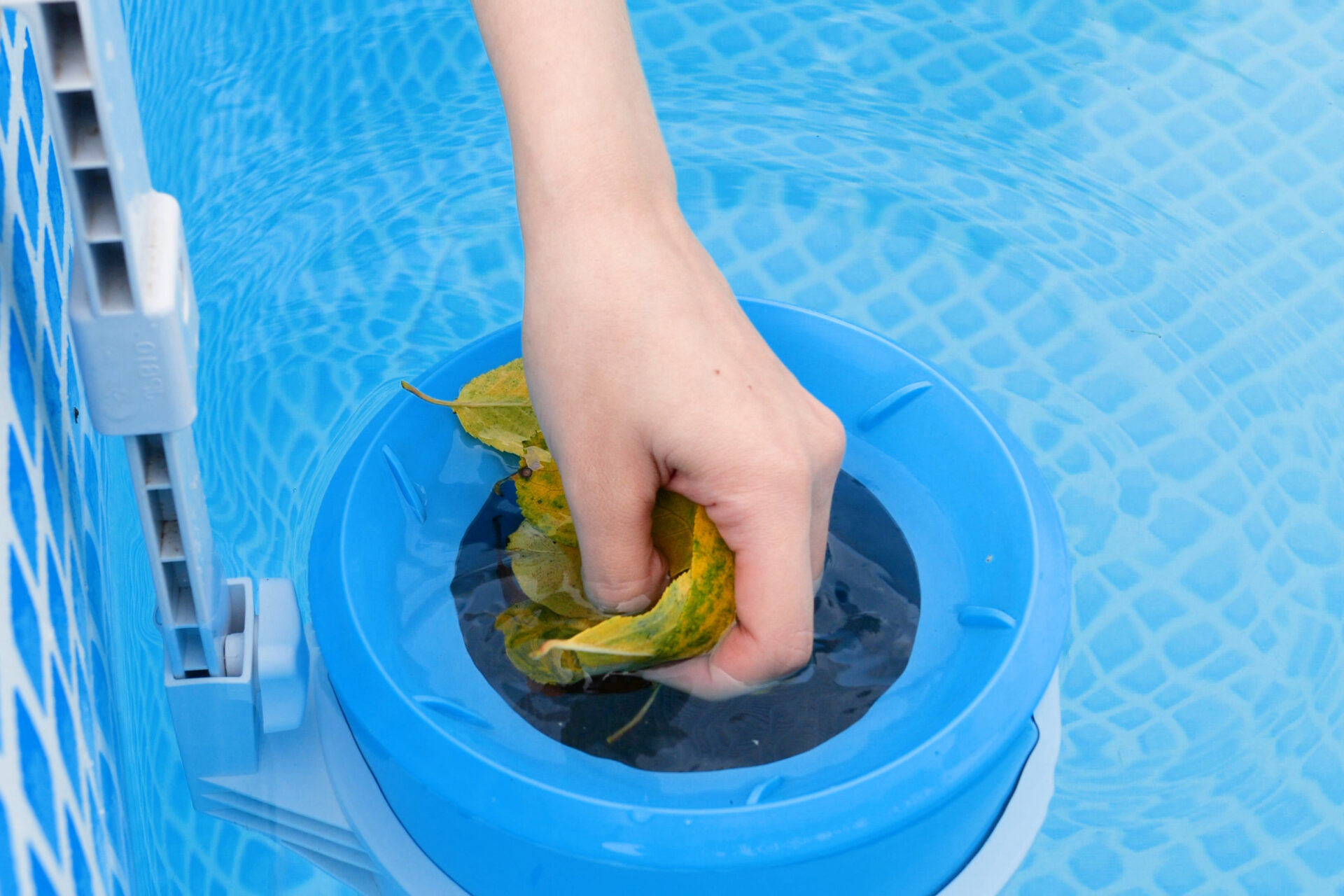 girl cleans skimmer for the frame pool. Contaminated pool cleaning concept.