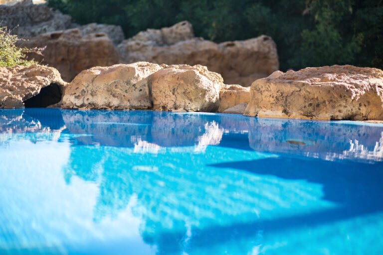 low maintenance pool landscaping