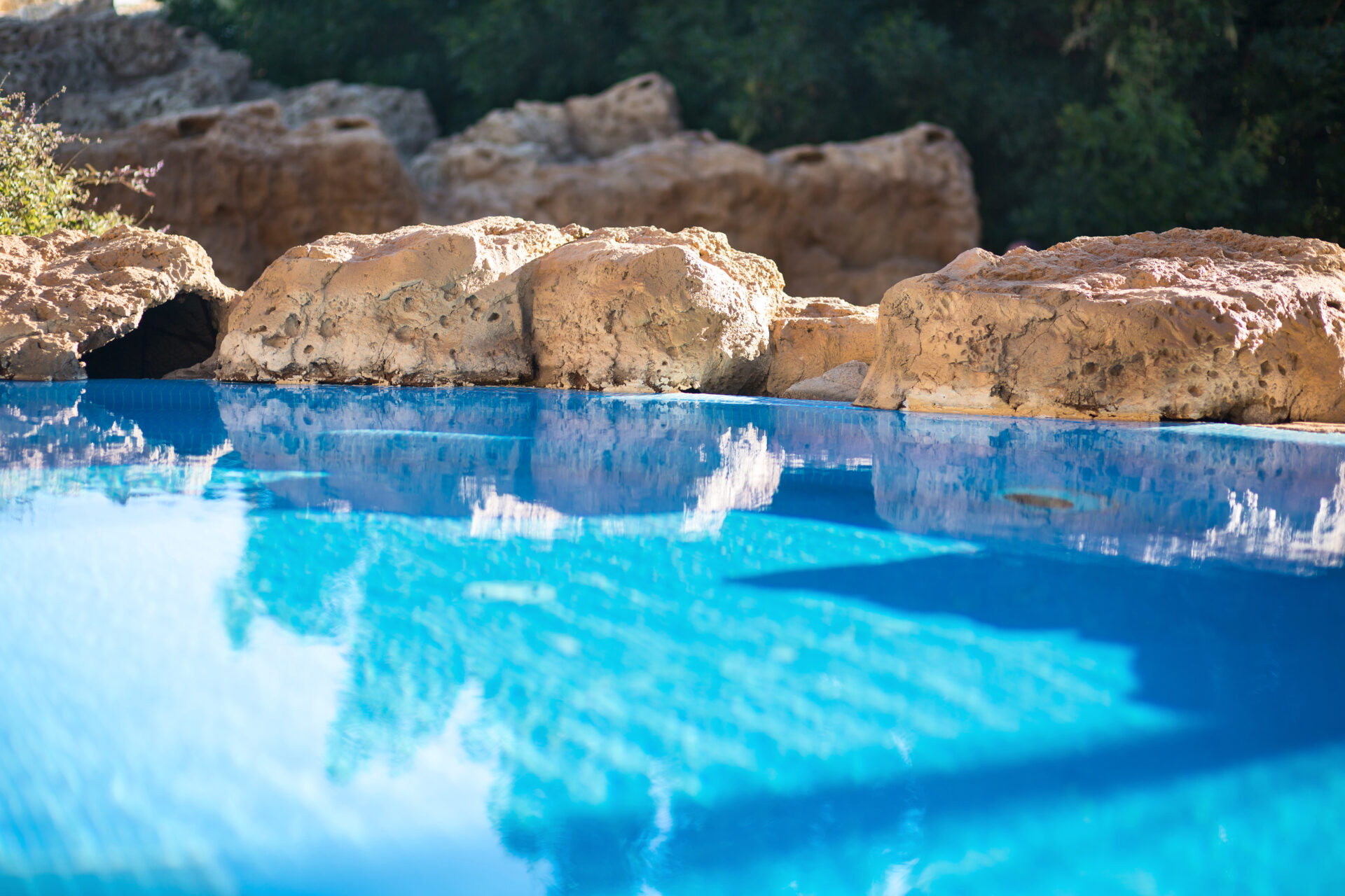 low maintenance pool landscaping