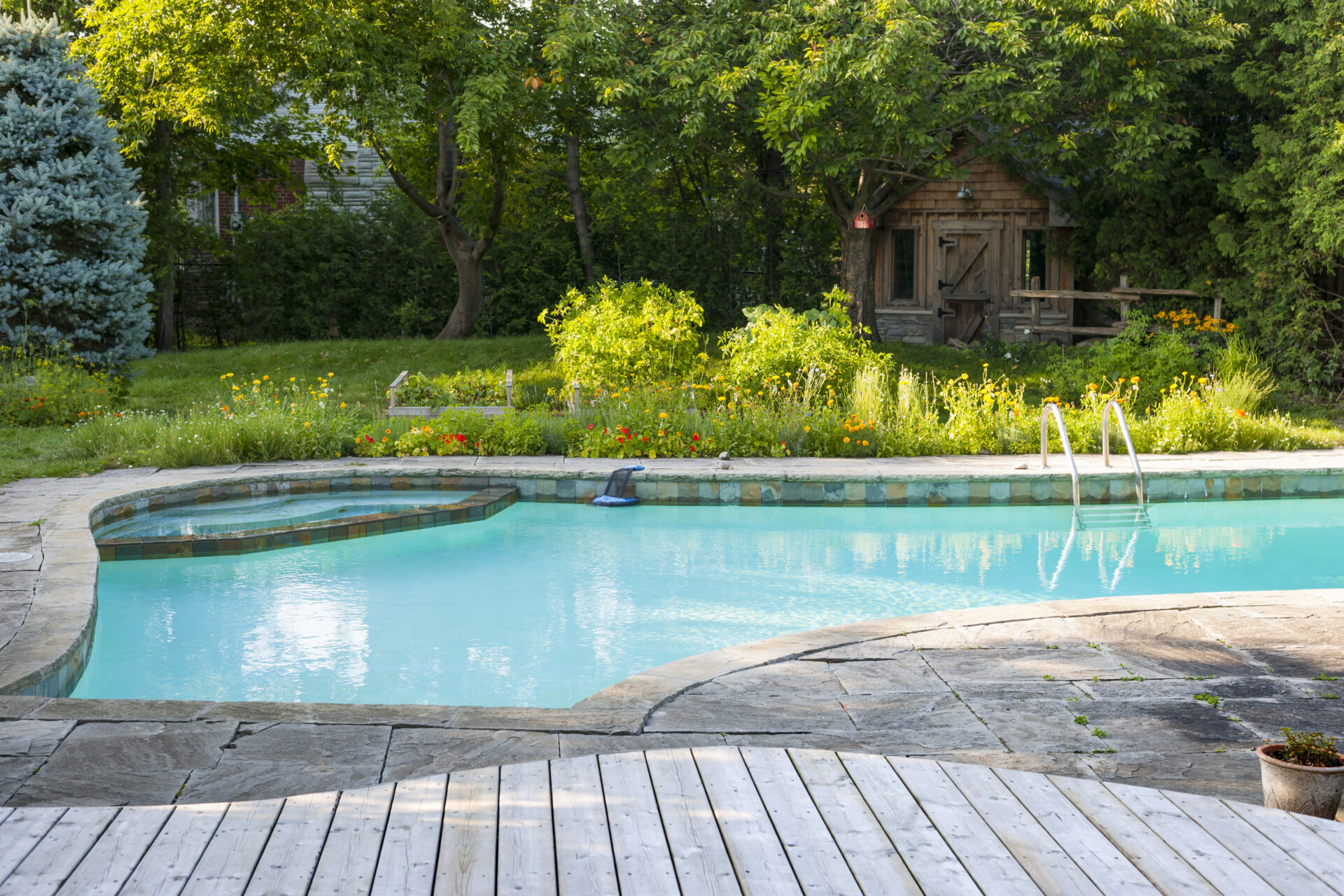 pool landscaping
