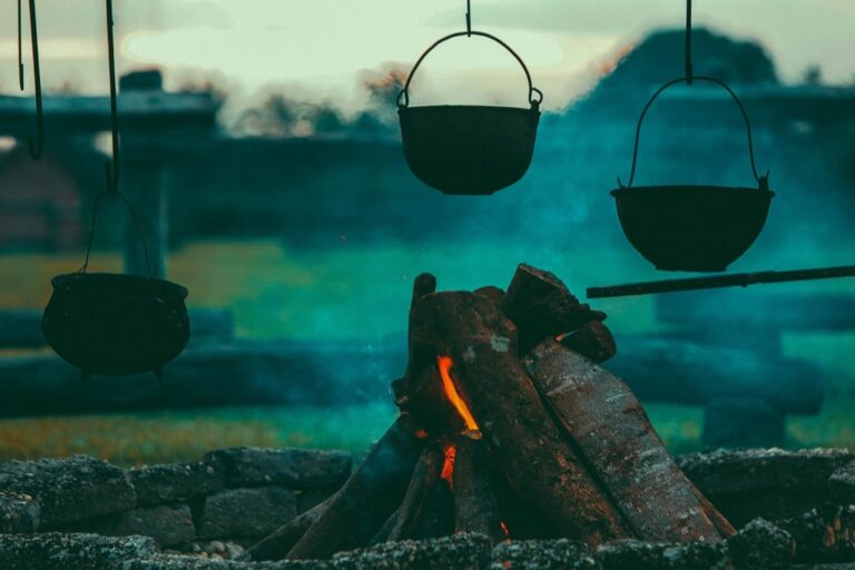 6 Best Camping Stoves for Cooking at the Beach That Master Coastal Winds