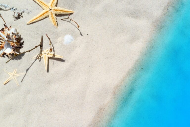 7 Best Beach Floats for Relaxation You’ll Never Want to Leave