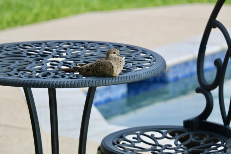 7 Best Poolside Furniture Products for Comfort Perfect for Summer Luxury