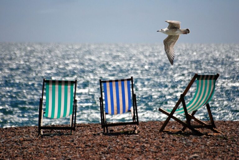 10 Best Folding Beach Chairs for Comfortable Seating by the Water That Enhance Relaxation