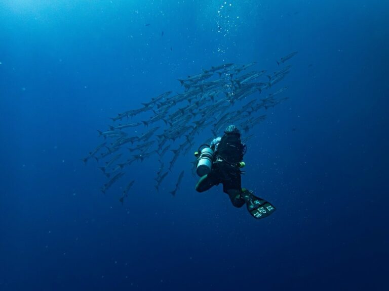 7 Best Snorkeling Masks For Clear Underwater Exploration That Boost Visibility