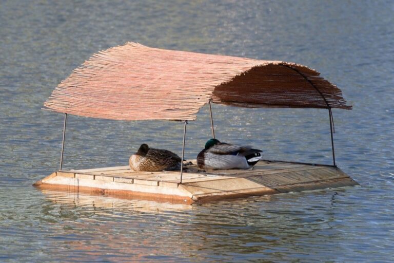 7 Best Water Mats for Family Fun: Ultimate Summer Lake Essentials