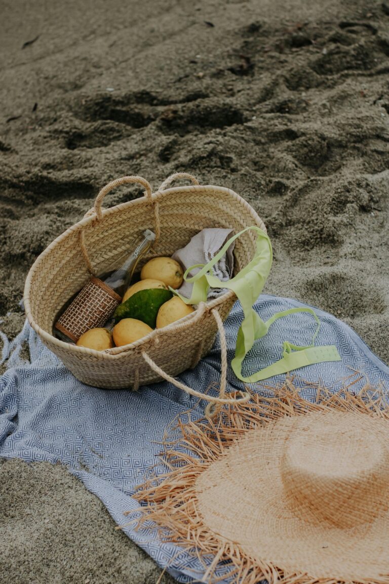 7 Best Products for Securing Food Against Seagulls Beachgoers Swear By