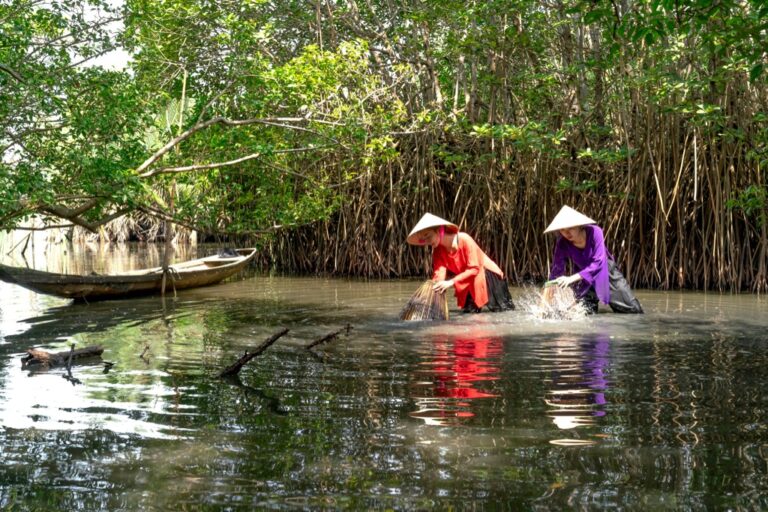 7 Best Sustainable Kayak Accessories For Eco-Friendly Paddling That Protect Our Waters