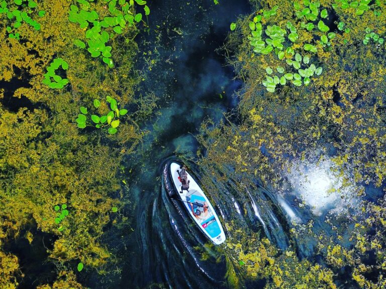 10 Best Sustainable Paddleboards for Eco-Friendly Adventures That Maximize Performance