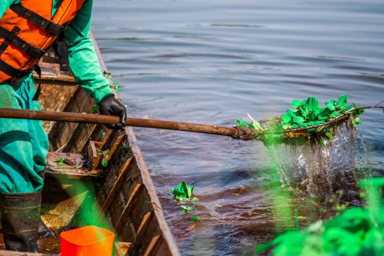 6 Best Natural Life Jackets for Safe Water Adventures That Protect Our Waters