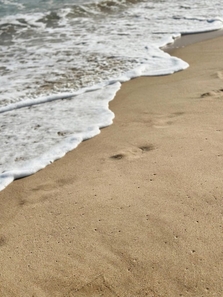 7 Best Tide Prediction Apps for Planning Beach Trips That Locals Keep Secret