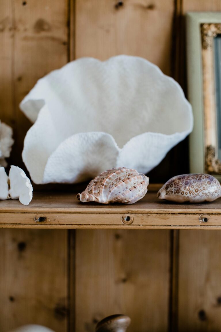 12 Creative Beach House Storage Ideas That Coastal Designers Love