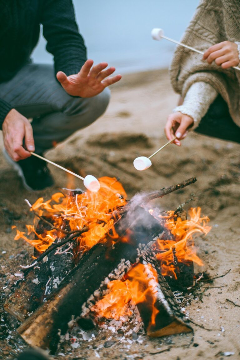 7 Best Beach Fire Pits for Family Gatherings Perfect for Summer Sunsets