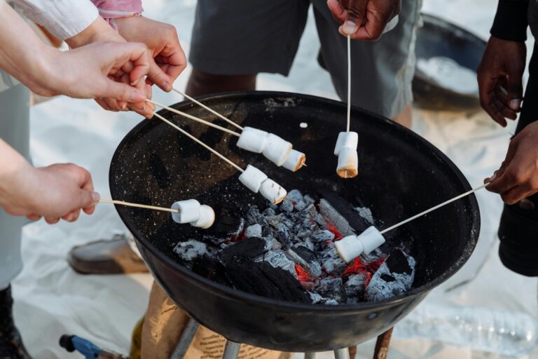 10 Best Insect Repellents for Beach Fire Pit Areas That Every Parent Should Know