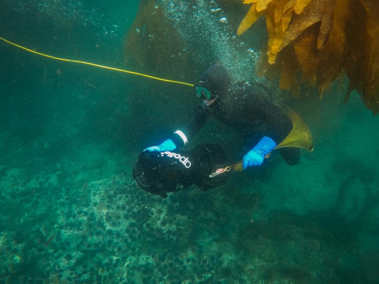 10 Best Underwater Scooters for Efficient Searching in Murky Waters