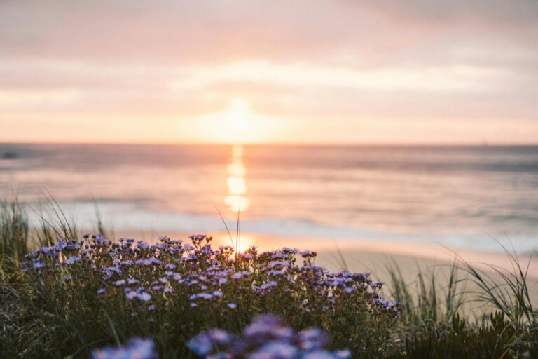 9 Beach Day Itinerary Tips Locals Use for Ultimate Serenity
