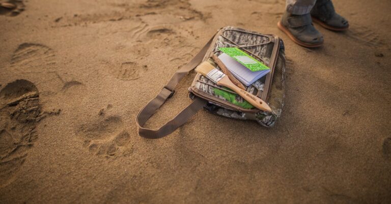 7 Best Tools for Beachcombing Adventures Expert Collectors Swear By