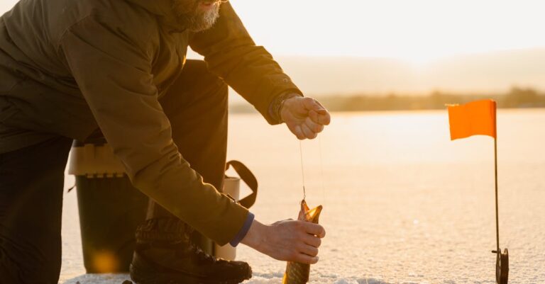 7 Best Seasonal Bait Options for Lake Fishing Old-Timers Swear By