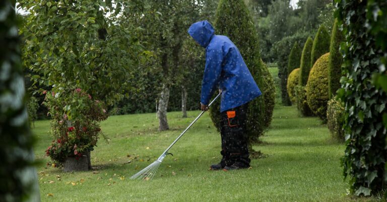 6 Best Pool Cleaning Tools for Heavy Rain Recovery That Save Hours of Work