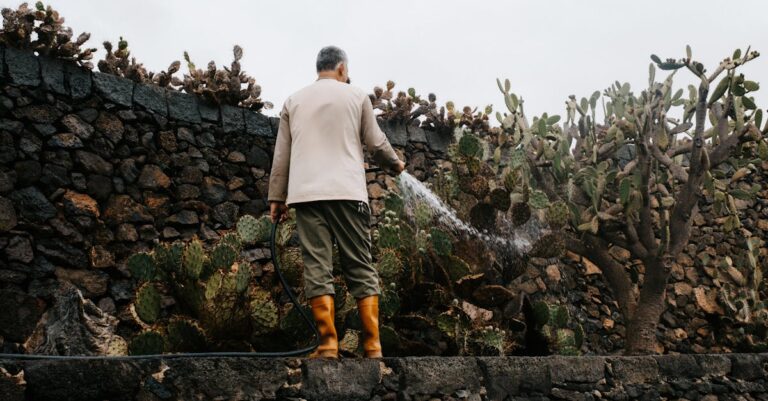 7 Sustainable Practices for Poolside Landscaping That Save Water & Money