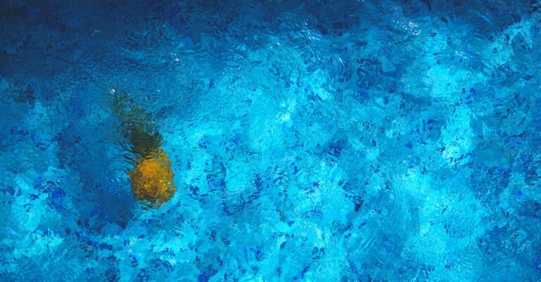 7 Creative Solutions for Maintaining Pool Water Levels That Save Money