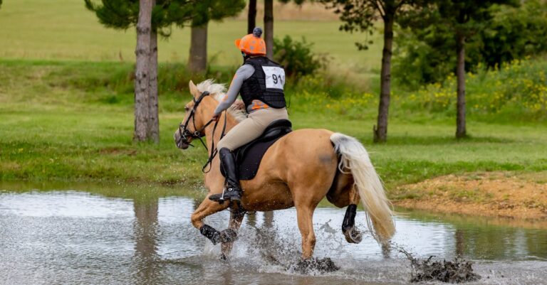 7 Best Interactive Water Obstacle Courses For Ultimate Thrills