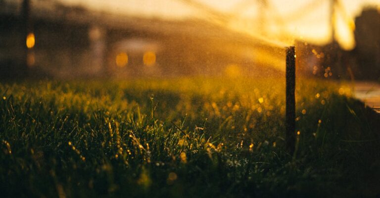 5 Best Organic Pool Care Solutions For Sparkling Water That Protect Your Family