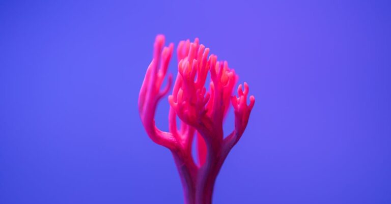 7 Unique Bioluminescent Tour Experiences You Won’t Believe Exist