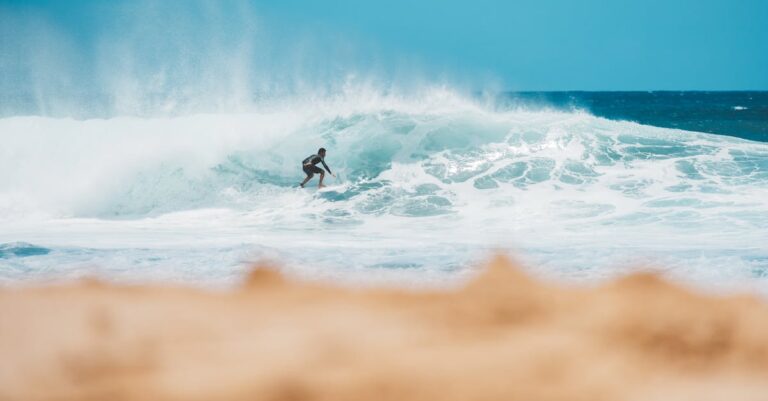 7 Best Low Tide Activities to Enhance Your Beach Day That Locals Keep Secret