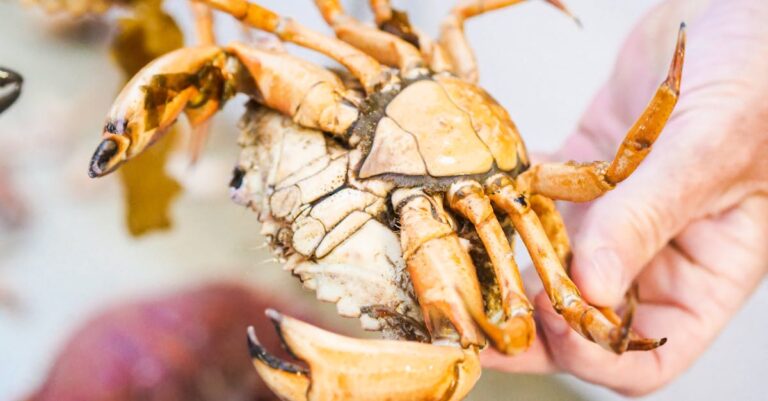 7 Best Ways to Cook Seafood Over Beach Fires Locals Keep Secret