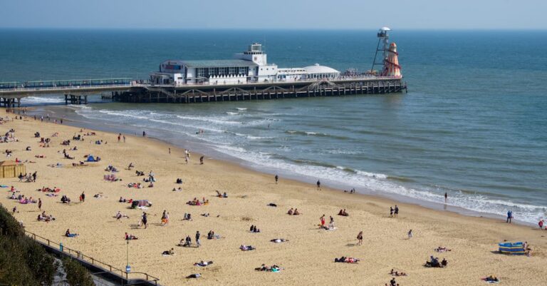 7 Best Shaded Picnic Spots Near Swimming Areas Locals Keep Secret