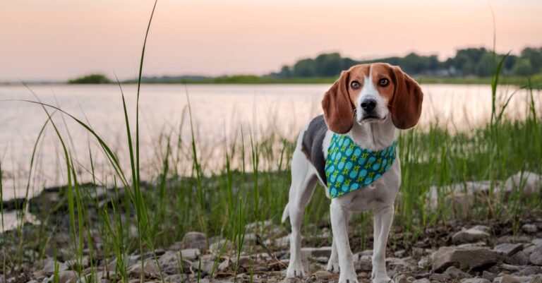 7 Best Products For A Day Out On The Lake That Elevate Your Experience