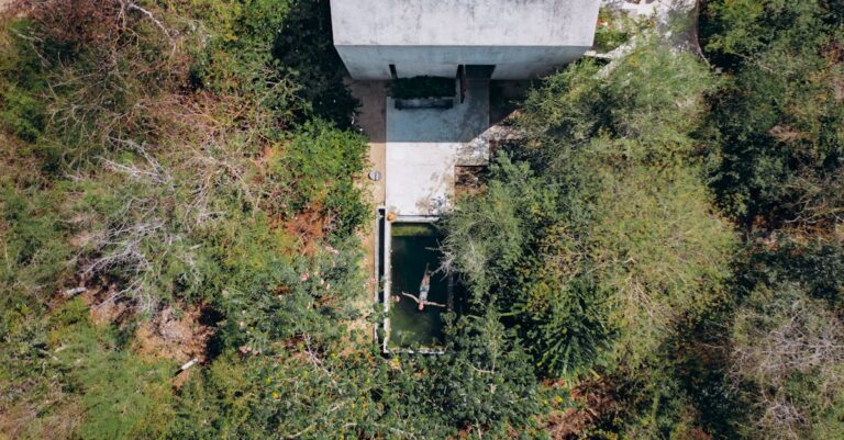 7 Natural Swimming Pool Options For Eco Lovers That Transform Your Backyard