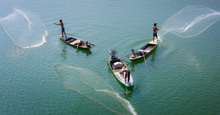 7 Best Types of Boats for Different Lake Activities That Maximize Fun