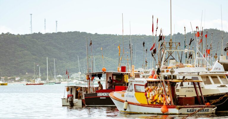 6 Best Materials for Floating Dock Anchors For Any Weather Conditions