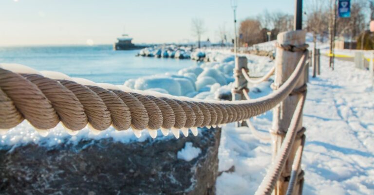 6 Best Lakefront Fencing Options Compared That Protect Your Views