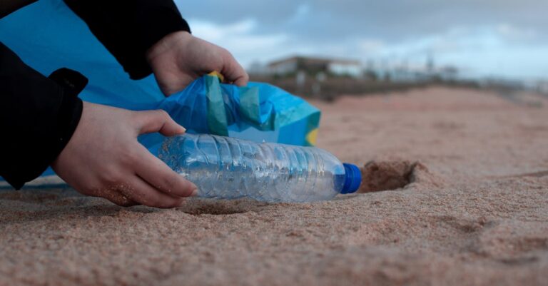 7 Best Practices for Beach Cleanup After Storms That Protect Marine Life