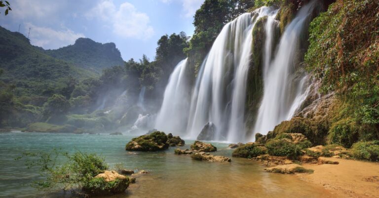 7 Best Eco-Friendly Products for Pool Stain Removal That Protect Our Waters