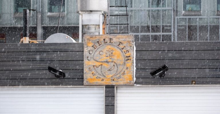 7 Ways to Assess Dock Conditions Before a Storm That Prevent Costly Damage