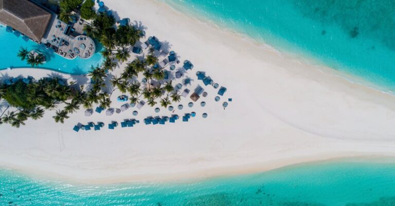5 Best Heavy-Duty Beach Umbrellas Reviewed For Any Weather Condition
