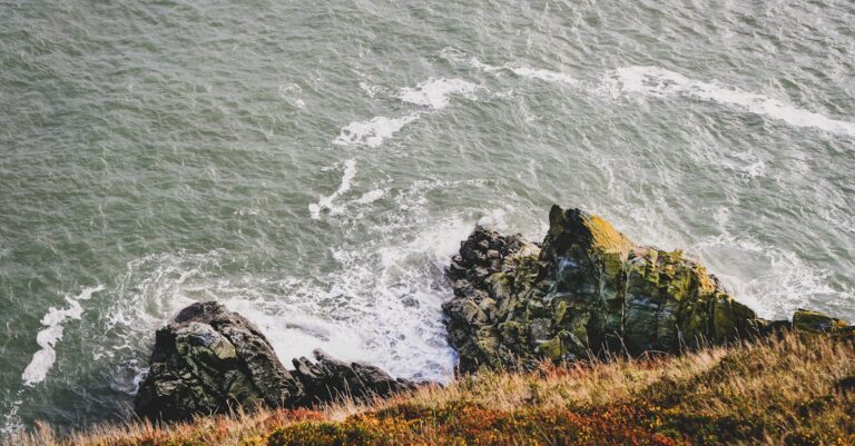 7 Algae Bloom Response Strategies For Open Water That Protect Our Waters