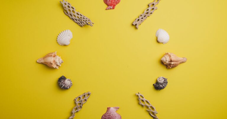7 Beachcombing for Treasures Ideas Seasoned Collectors Keep Secret