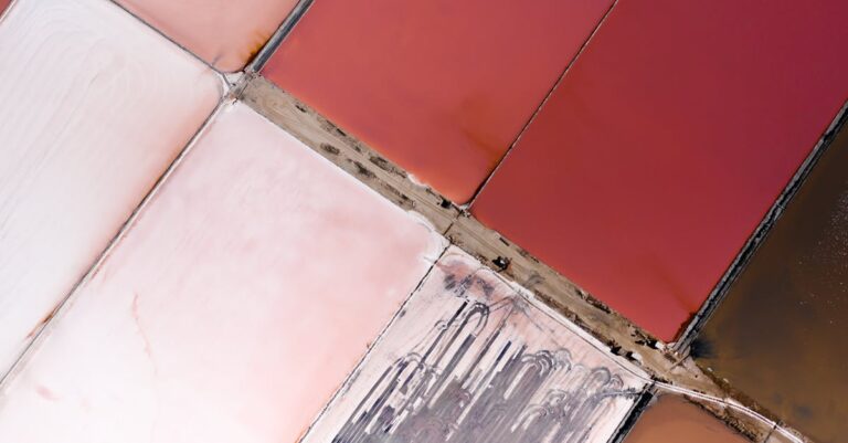 6 Best Pool Cleaning Methods For Salt Systems That Maximize Performance