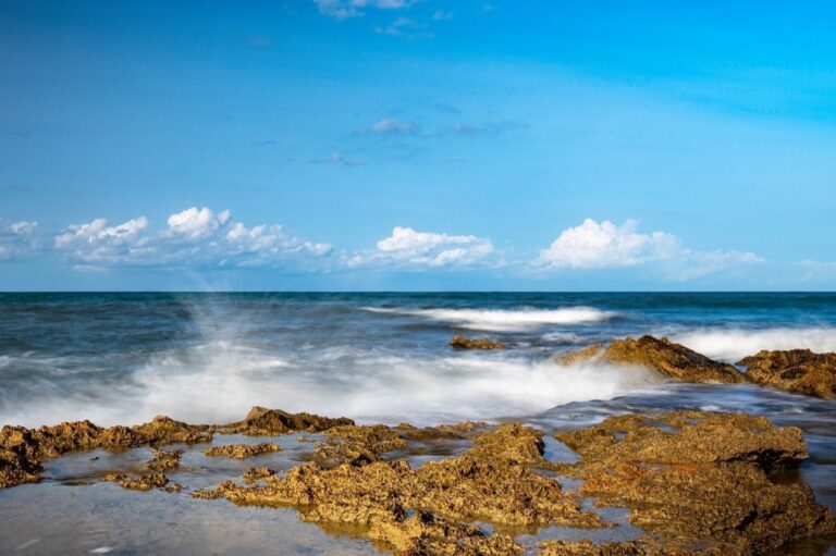 5 Best Insect Repellent Sprays for Beach Use That Pros Trust