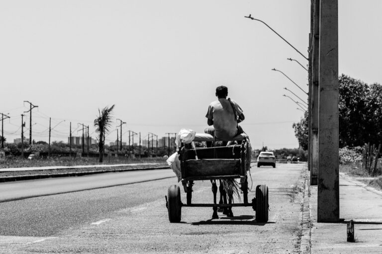 7 Clever Uses for Beach Wagons Beyond the Beach That Save Your Back