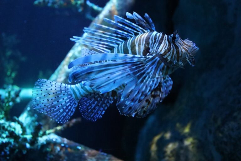 7 Effective Ways to Maintain Salt Water Clarity That Pros Swear By
