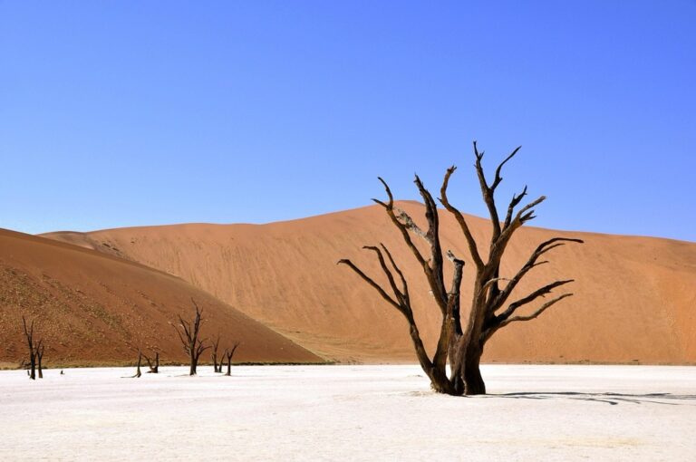 7 Creative Photography Ideas for Low Water Landscapes That Pros Use