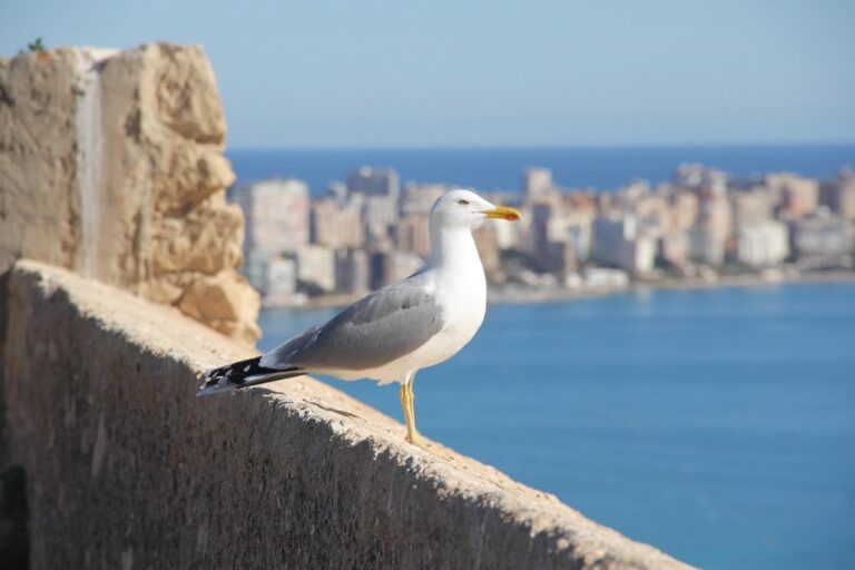 7 Urban Beach Alternative Ideas for City Dwellers That Locals Keep Secret